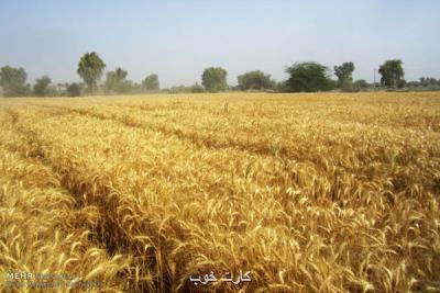 سازمان ملل دنبال بازگشایی بنادر اوکراین برای عبور غلات