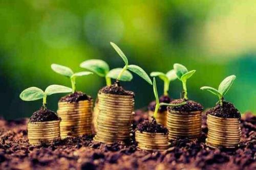 جزئیات پرداخت تسهیلات به بخش کشاورزی خوزستان