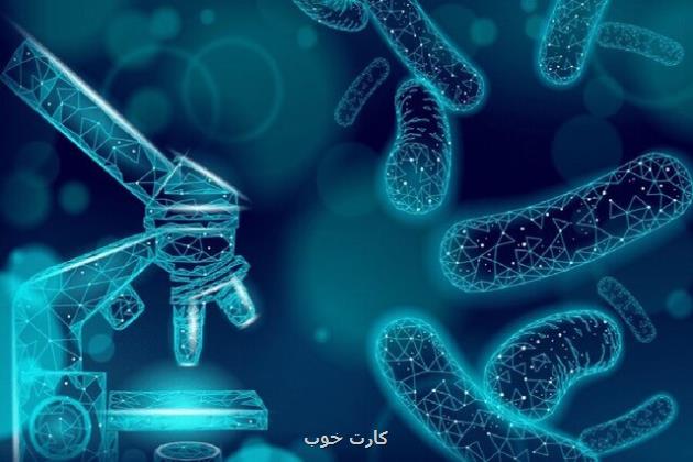 سمینار تعامل میکروبیوم و دریافت غذایی برگزار می گردد