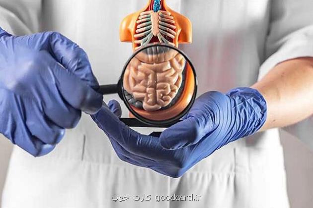 ارگانوئید روده ای: یک ابزار همه کاره برای مدل سازی بیماریهای دستگاه گوارش