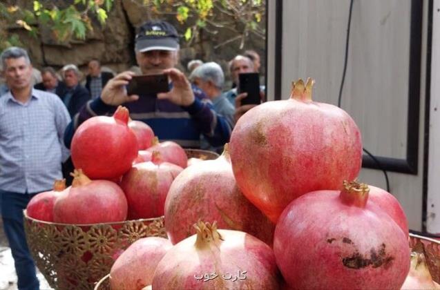 لزوم تبدیل جشنواره انار به برند گردشگری درجزین