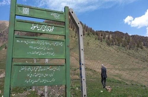 آغاز جستجوهای دیرینه شناسی هیأت ایران و چین در ارتفاعات ماسوله