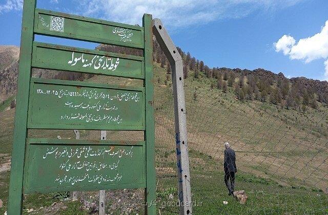 آغاز جستجوهای دیرینه شناسی هیأت ایران و چین در ارتفاعات ماسوله