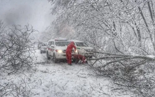 آماده باش هلال احمر به دنبال بارندگی باران و برف در این استانها
